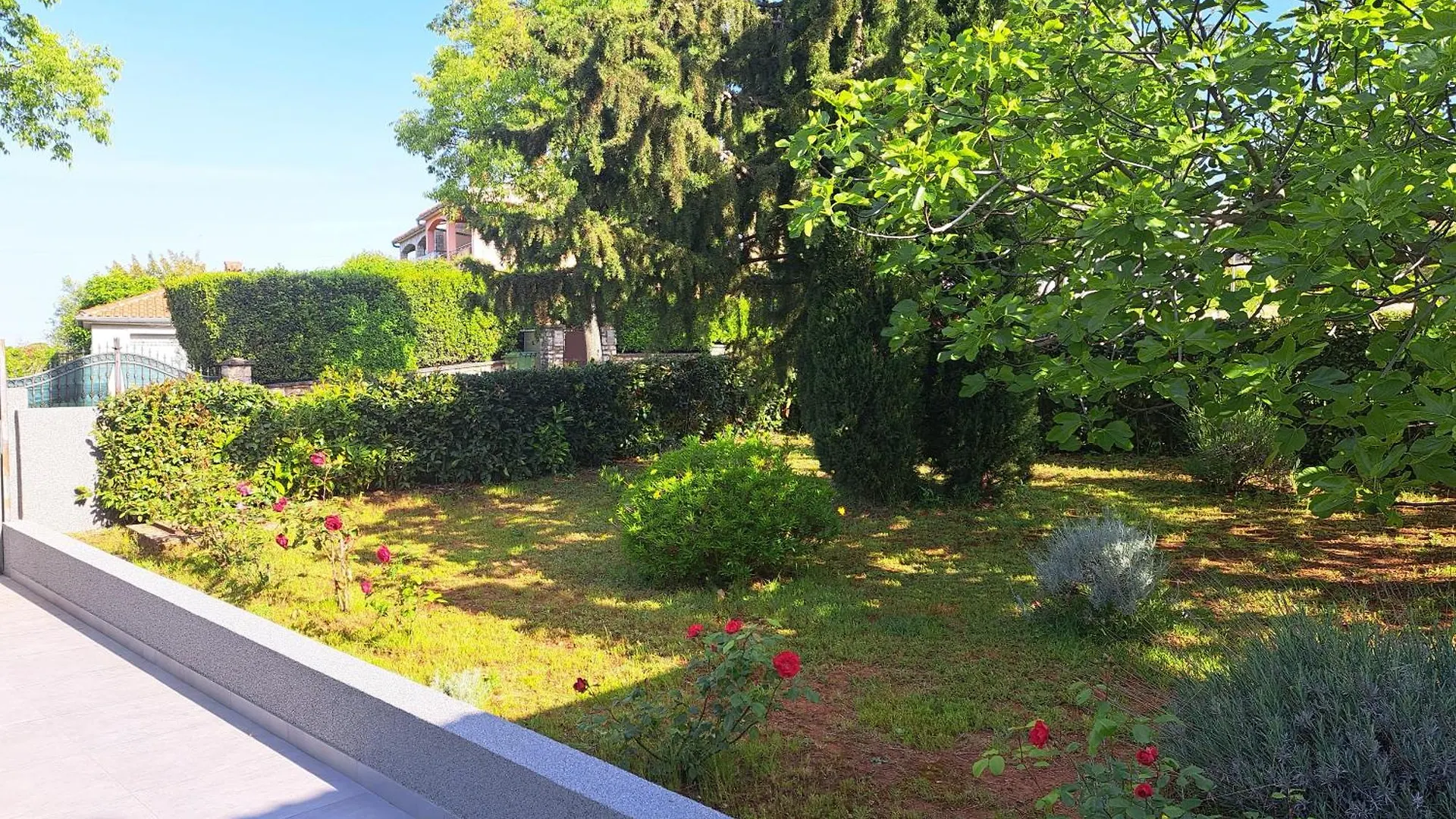 Apartment Elinor 2 Rovinj