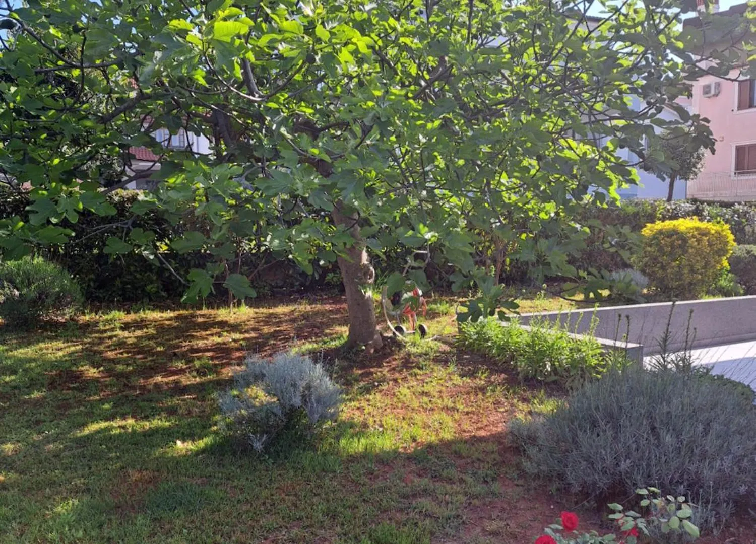 Apartment Elinor 2 Rovigno