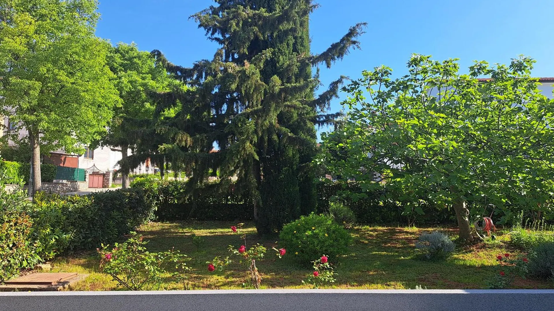 Apartment Elinor 2 Rovigno Croazia